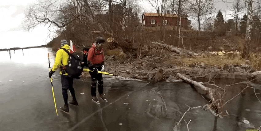 Unos patinadores lo encontraron luchando en un lago congelado y así lo ayudaron 4
