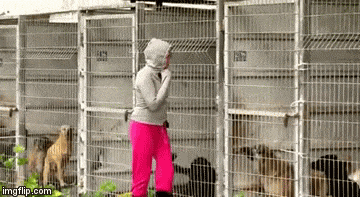 Esta mujer no puede decidir qué perros adoptar... Así que hace esto 1