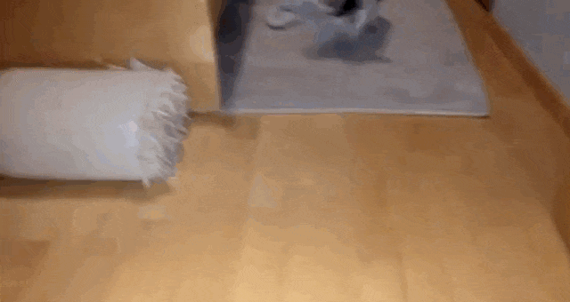 Sneaky Puppy Loves Nothing More Than Stealing Everyone�s