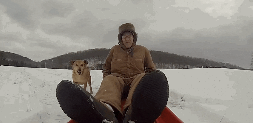 90-Year-Old Veteran Takes Joyful Sled Ride With Canine Pal